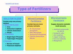 India Fertilizer Strategy 2025